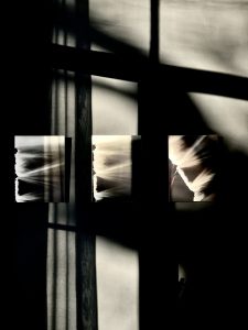 Lies Vanzieleghem - Art Lesco