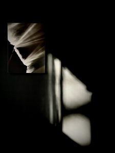 Lies Vanzieleghem - Art Lesco