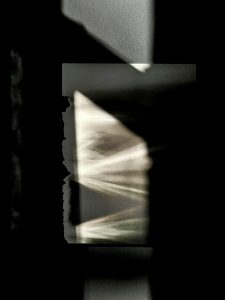 Lies Vanzieleghem - Art Lesco